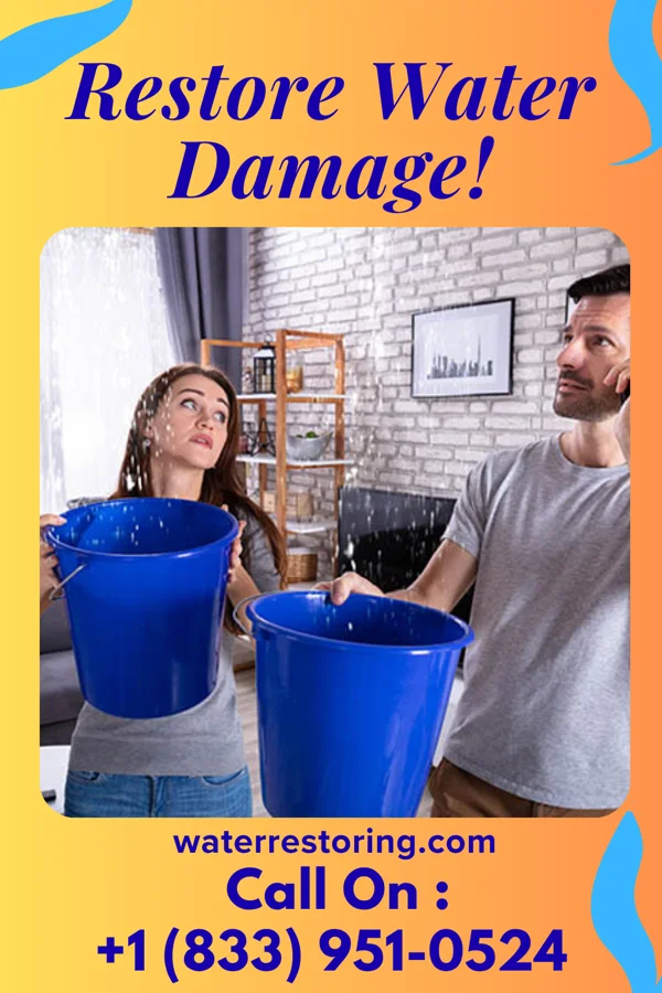 water restoration New Water Mitigation Authority Shakertowne