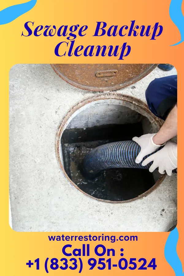 Sewage Backup Cleanup in Shakertowne, MO