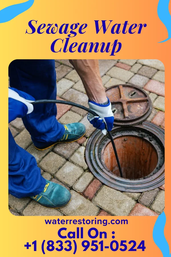 Sewage Water Cleanup in Shakertowne, MO